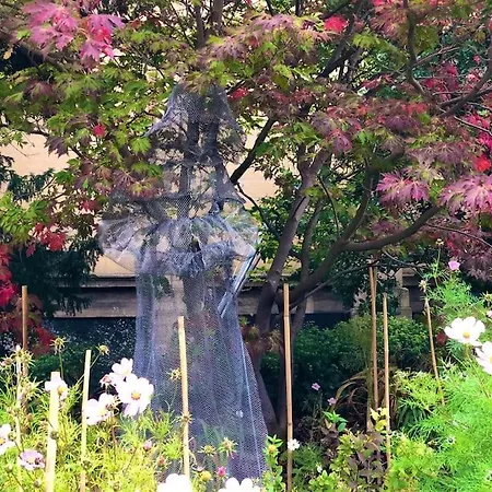 Menagerie House Walk Score 98 بيت للعطل