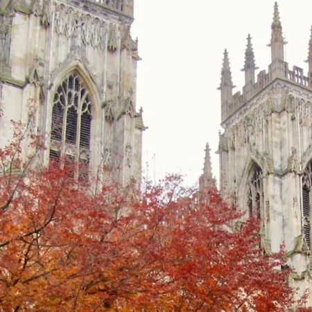 Menagerie House Walk Score 98 度假居